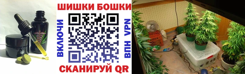 hydra ONION  купить наркотики сайты  Касимов  Cannafood марихуана 