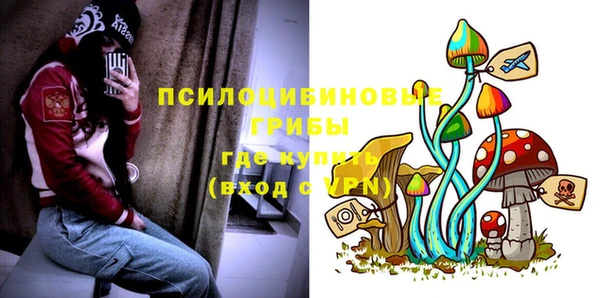 бошки Абдулино
