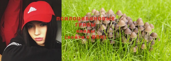 меф Алексеевка
