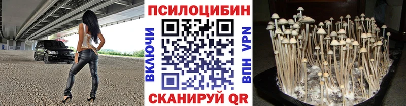 Псилоцибиновые грибы GOLDEN TEACHER  hydra вход  Касимов 